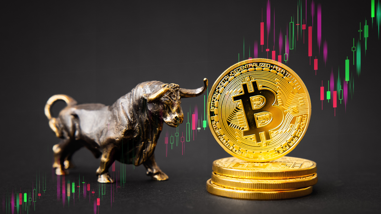 A Full Review Of The Great 2024 Crypto Bull Run & Why It Might Be The Biggest Yet.