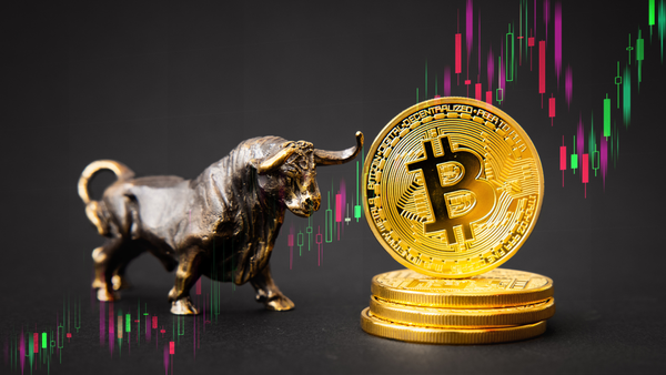 A Guide To The Last, Great Crypto Bull Run & How To Profit From It.