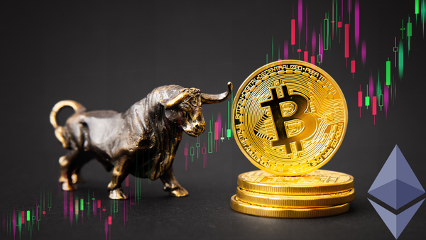 Crypto Insider 10X Bull Run Crypto Portfolio.